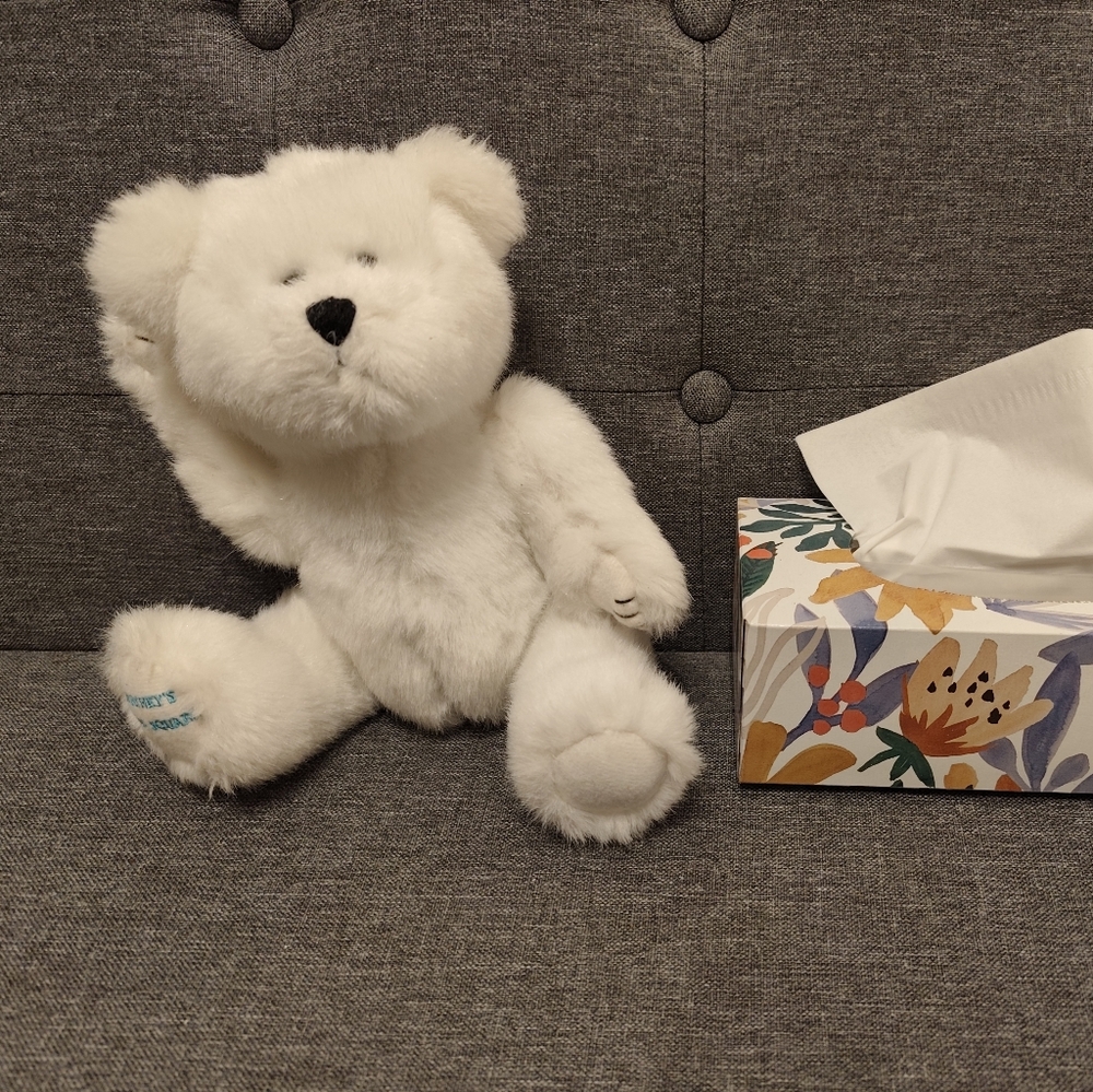 White Plush Teddy Bear